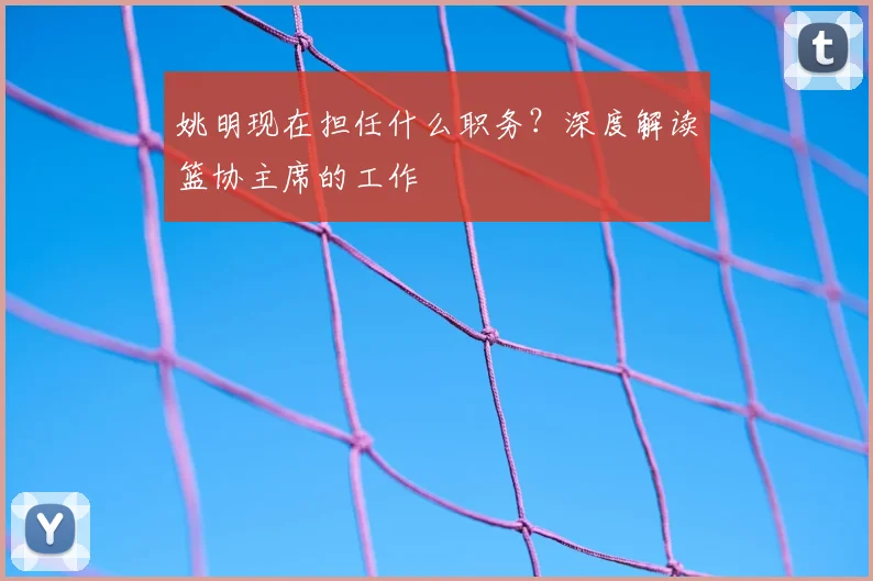 姚明现在担任什么职务？深度解读篮协主席的工作