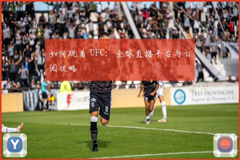 如何观看 UFC：全球直播平台与订阅攻略