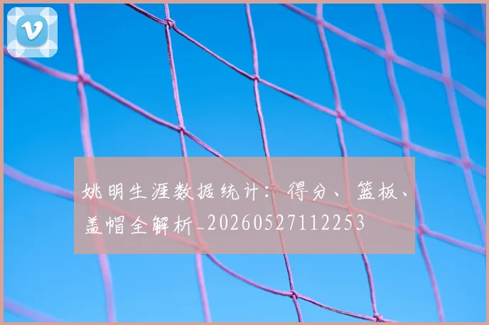 姚明生涯数据统计：得分、篮板、盖帽全解析_20260527112253
