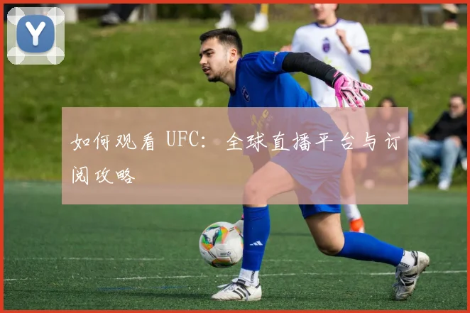 如何观看 UFC：全球直播平台与订阅攻略