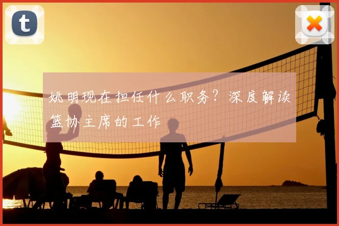 姚明现在担任什么职务？深度解读篮协主席的工作